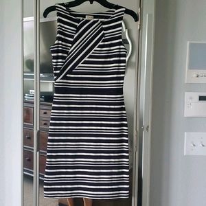 Cremieux navy white dress xs